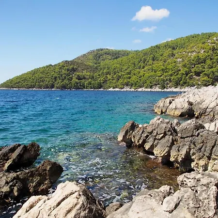 Apartment By The Sea Brna, Korcula - 9296